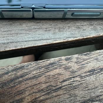 Samsung Z Flip 5 Problema de Píxel Muerto