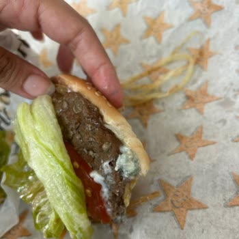 Yemek Sepeti Bozulmuş Küflenmiş Ve Mantarlaşmış Hamburger