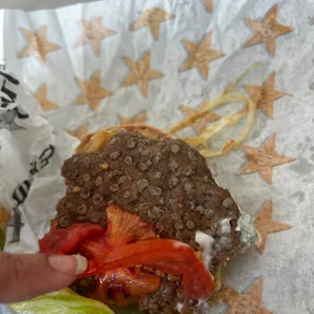 Yemek Sepeti Bozulmuş Küflenmiş Ve Mantarlaşmış Hamburger