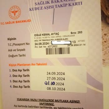 Şok Marketler Market Çalışanları Tarafından Marketin İçinde Beslenen Sokak Hayvanı