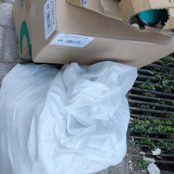 Amazon entregó mis pedidos en un saco