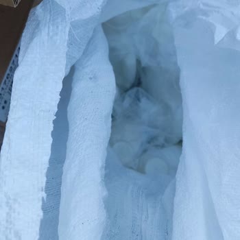 Amazon entregó mis pedidos en un saco