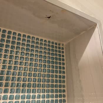 Kirman Calyptus Resort SPA Hotels Memnuniyetsizliği