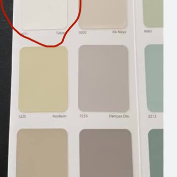 DYO Boya Katalogdaki Renk İle Duvar Boyası Arasında Büyük Fark