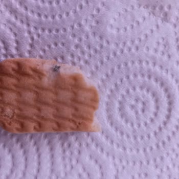 Hipp печенье - странный предмет внутри