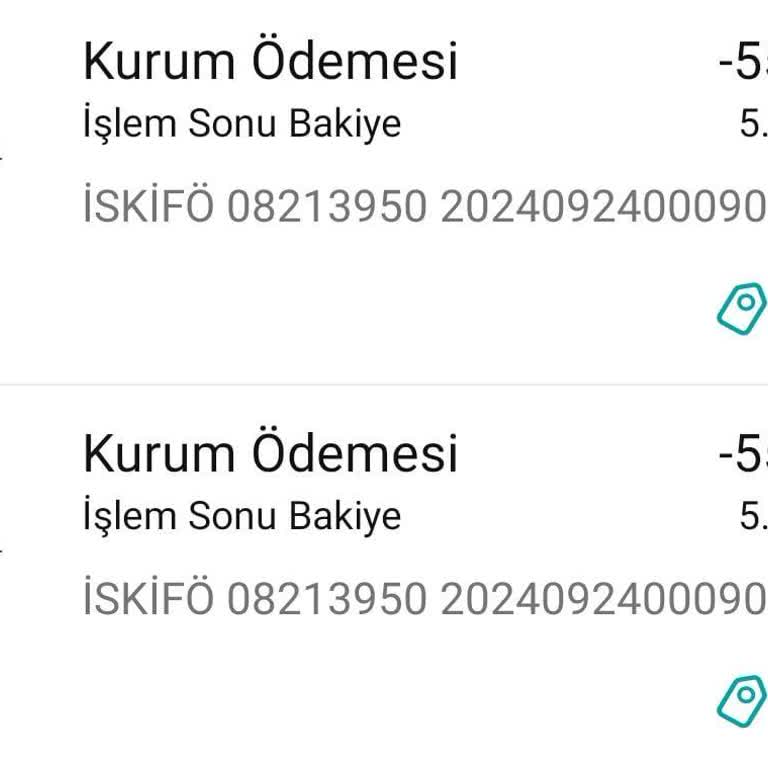 2 Defa Aynı İSKİ Faturası Ödemek