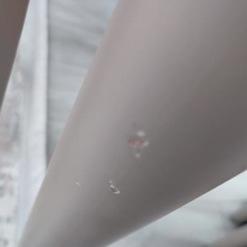 Bellona Sanvito Garanti Süresi Bitti, Ürünler Kalitesini Gösterdi