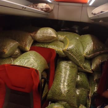 Lüks Adana Sorumsuzluğu Ve Pişmanlığı