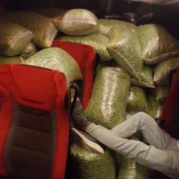 Lüks Adana Sorumsuzluğu Ve Pişmanlığı