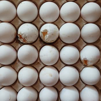 BİM Bozuk, Kokmuş, Kırılmış Yumurtalar!