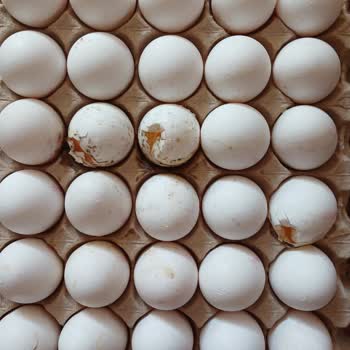 BİM Bozuk, Kokmuş, Kırılmış Yumurtalar!