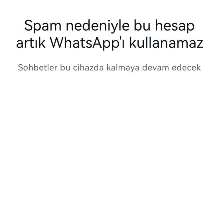 WhatsApp Spam Yedim