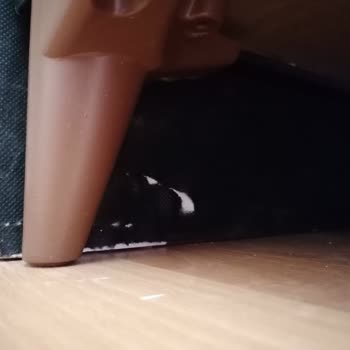 Eylül Mobilya (Eylul_baza) Eylül Mobilya Kapora Alıp Ürün Getirmiyor