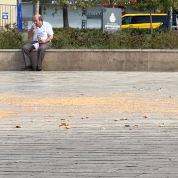 Sağlık Bakanlığı Bağcılar Meydandaki Çevre Kirliliğine Sebep Olan Güvercinler
