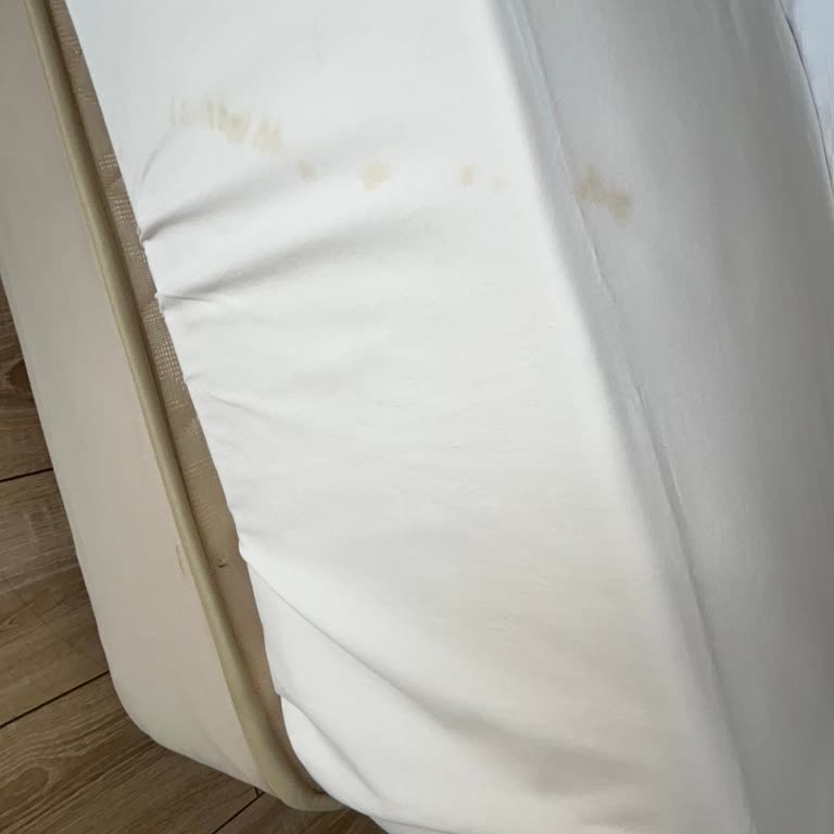 Orange County Belek Family Concept Orange County Otel Hayal Kırıklığı