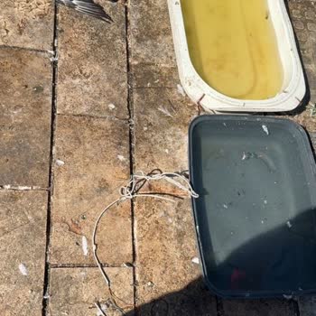 Çevre Ve Şehircilik Bakanlığı Bağcılar Meydanı'nda Çevre Kirliliği Ve Sağlık Sorunları