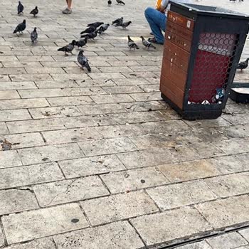 Çevre Ve Şehircilik Bakanlığı Bağcılar Meydanı'nda Çevre Kirliliği Ve Sağlık Sorunları