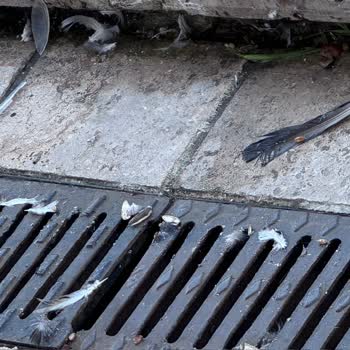 Çevre Ve Şehircilik Bakanlığı Bağcılar Meydanı'nda Çevre Kirliliği Ve Sağlık Sorunları