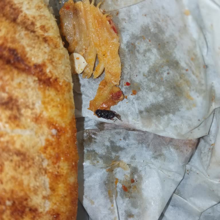 Bana Döner Böcek Çıktı Yağlı