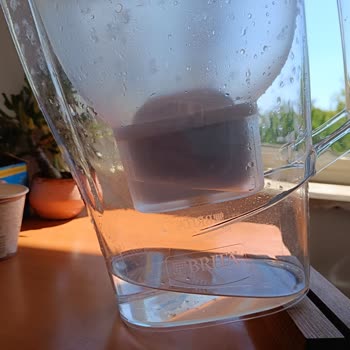 Brita Sürahi Yosunlanma Yapıyor