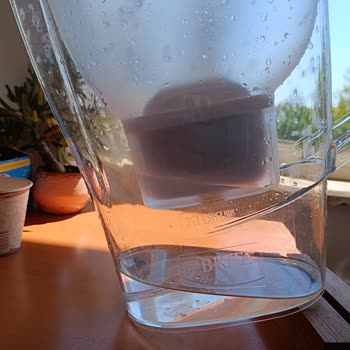 Brita Sürahi Yosunlanma Yapıyor