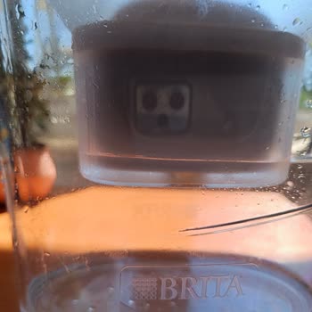 Brita Sürahi Yosunlanma Yapıyor