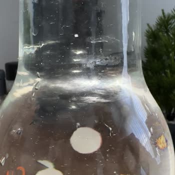 Vestel Su Sebili Yosunlaşma Yapıyor