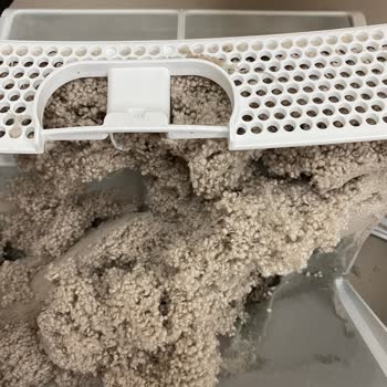 Chakra Tekstil Ürünlerinde Yaşanan Sorunlar