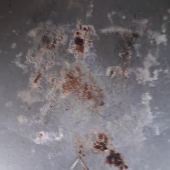 Electrolux Airfryer Paslanma Ve Servis Şikayeti