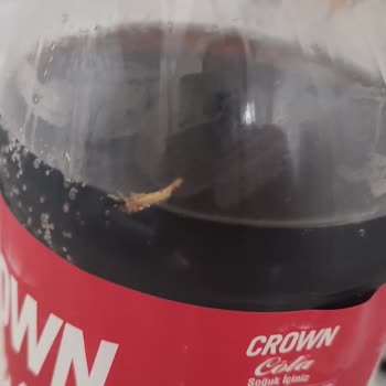 Şok Marketler Crown Kola İçinden Kurt Çıktı: Şok Edici Bir Durum