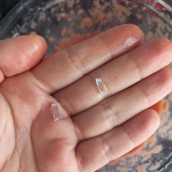 Karaca Züccaciye Karaca Blenderım 4 Günde Parçalanmaya Başladı.