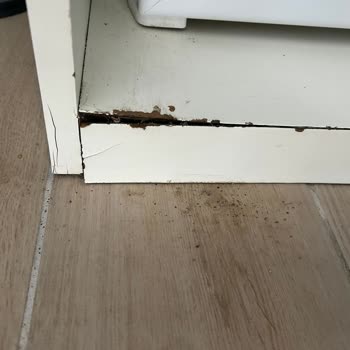 Euphoria Barbaross Beach Resort Otel Konaklamamızda Yaşadığımız Sorunlar Ve Hayal Kırıklığı