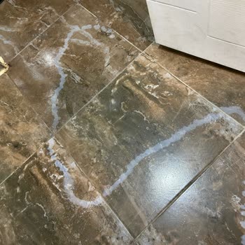 Euphoria Barbaross Beach Resort Otel Konaklamamızda Yaşadığımız Sorunlar Ve Hayal Kırıklığı