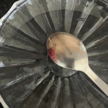 Filiz Makarna Makarnada Kurt Çıkması Ve Sağlık Tehlikesi