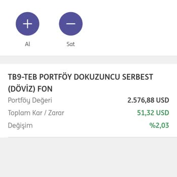 ING Döviz Fonundaki Paramın Ödenmemesi Ve İlgisizlik