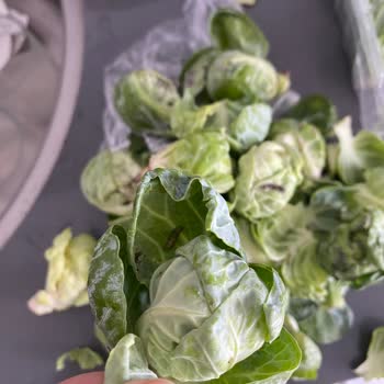 Carrefour Marketten Aldığımız Sebzeler Böcekli Ve Kurtlu Çıktı