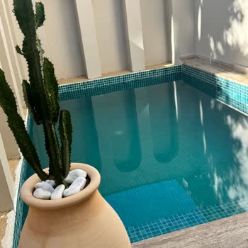 Sabel Villas Otel Odalarında Küf Kokusu Ve Hijyen Sorunları