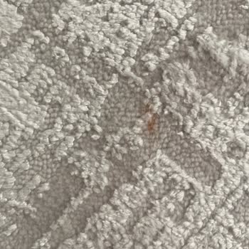 Akar Halı Yıkama İstanbul Bambu Halımın Temizlenmemesi Ve Yanıltıcı Bilgilendirme
