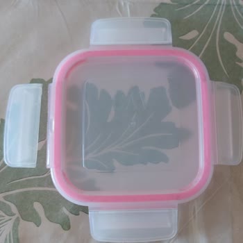 Lav Fresco Saklama Kabı Kapak Kırılması