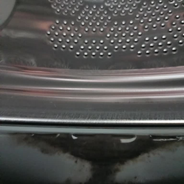 Electrolux Çamaşır Makinesinin Lastik Kararması Ve Küf Kokması