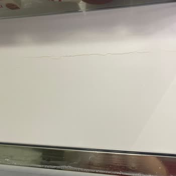 Bosch Refrigerador Puerta Defectuosa y Servicio al Cliente Poco Útil