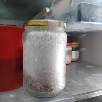 Bosch Refrigerador, Alimentos Congelados y Problemas Persistentes