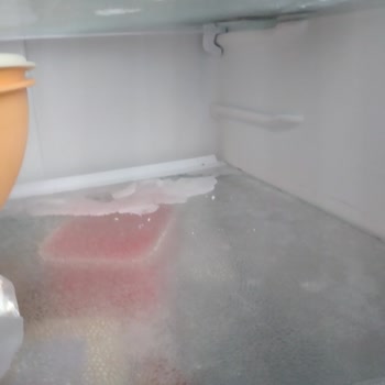 Bosch Refrigerador, Alimentos Congelados y Problemas Persistentes