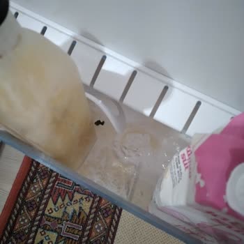 Bosch Refrigerador, Alimentos Congelados y Problemas Persistentes