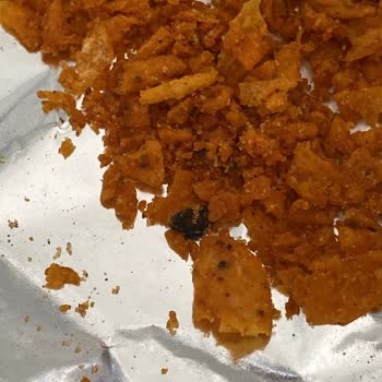 Patos Sağlığı Tehdit Ediyor İçinden Fare Dışkısı Çıktı
