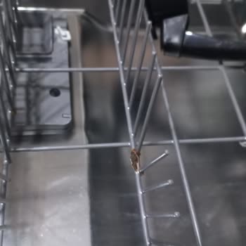 Arçelik Bulaşık Makinesi Sepet Sorunu ve Yüksek Servis Ücreti