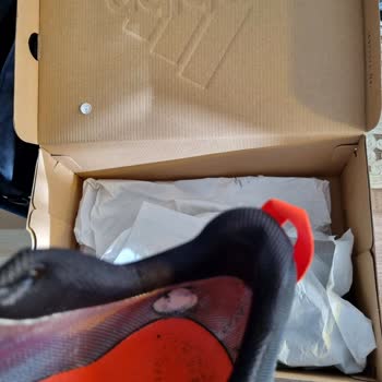 Adidas Terrex AX4 GTX: Problemas con la Calidad Interna del Calzado