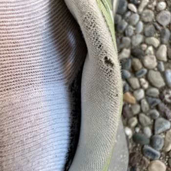 Mis Adidas Outdoor se desgastan rápido y el soporte no ayuda