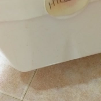 Servicio Insatisfactorio del Purificador de Agua LG Hillda