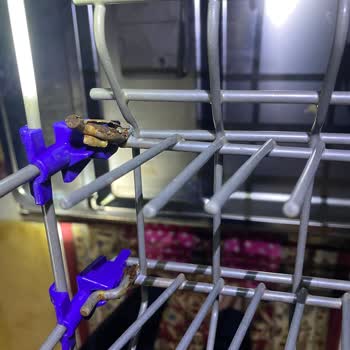 Lavavajillas LG con óxido y residuos en mis platos